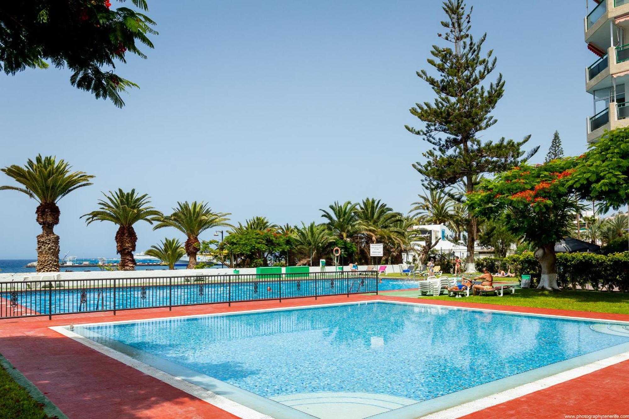 603 Comodoro Studio Beach Front Los Cristianos  Eksteriør billede