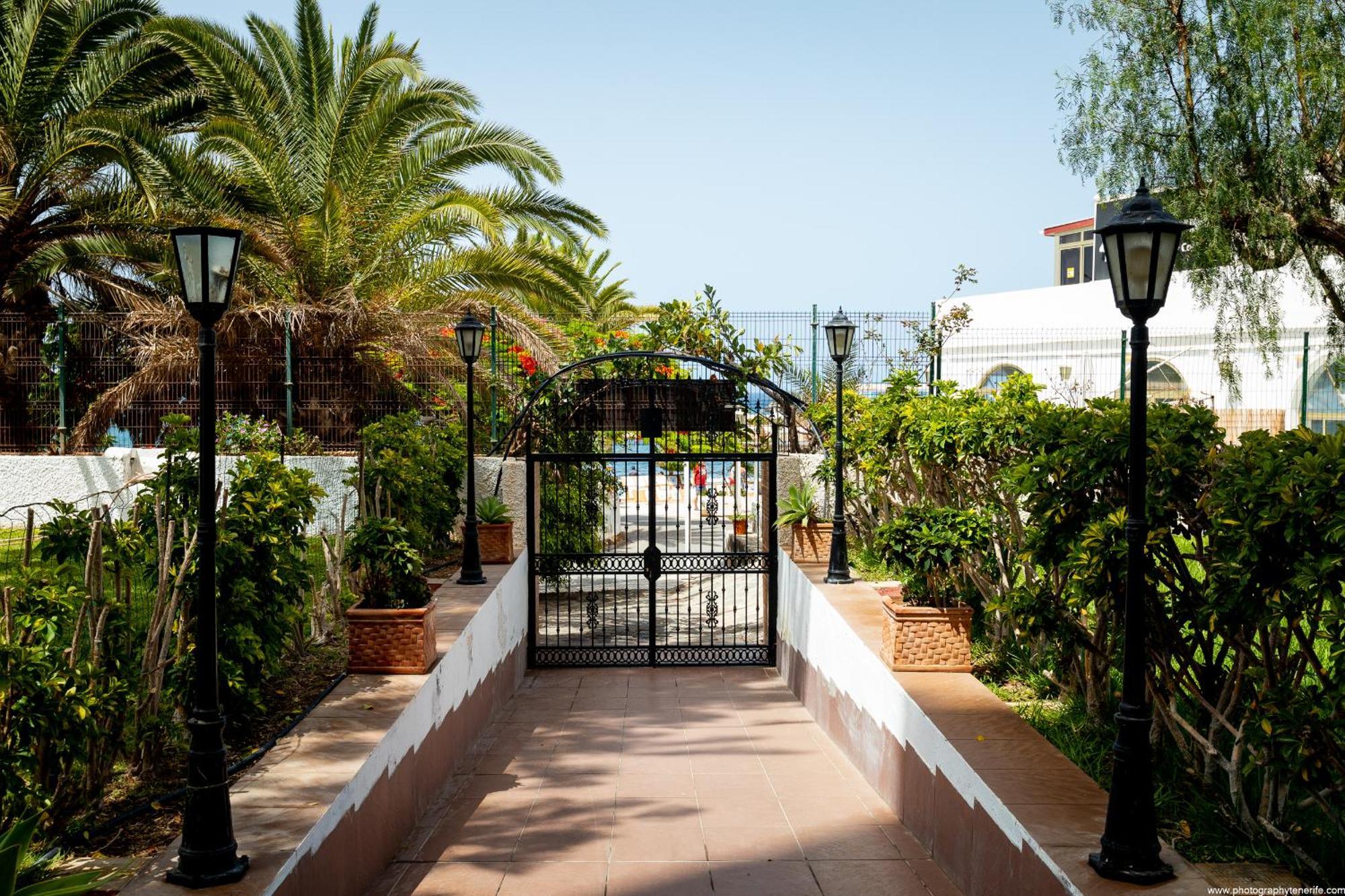 603 Comodoro Studio Beach Front Los Cristianos  Eksteriør billede